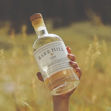 Barr Hill Gin